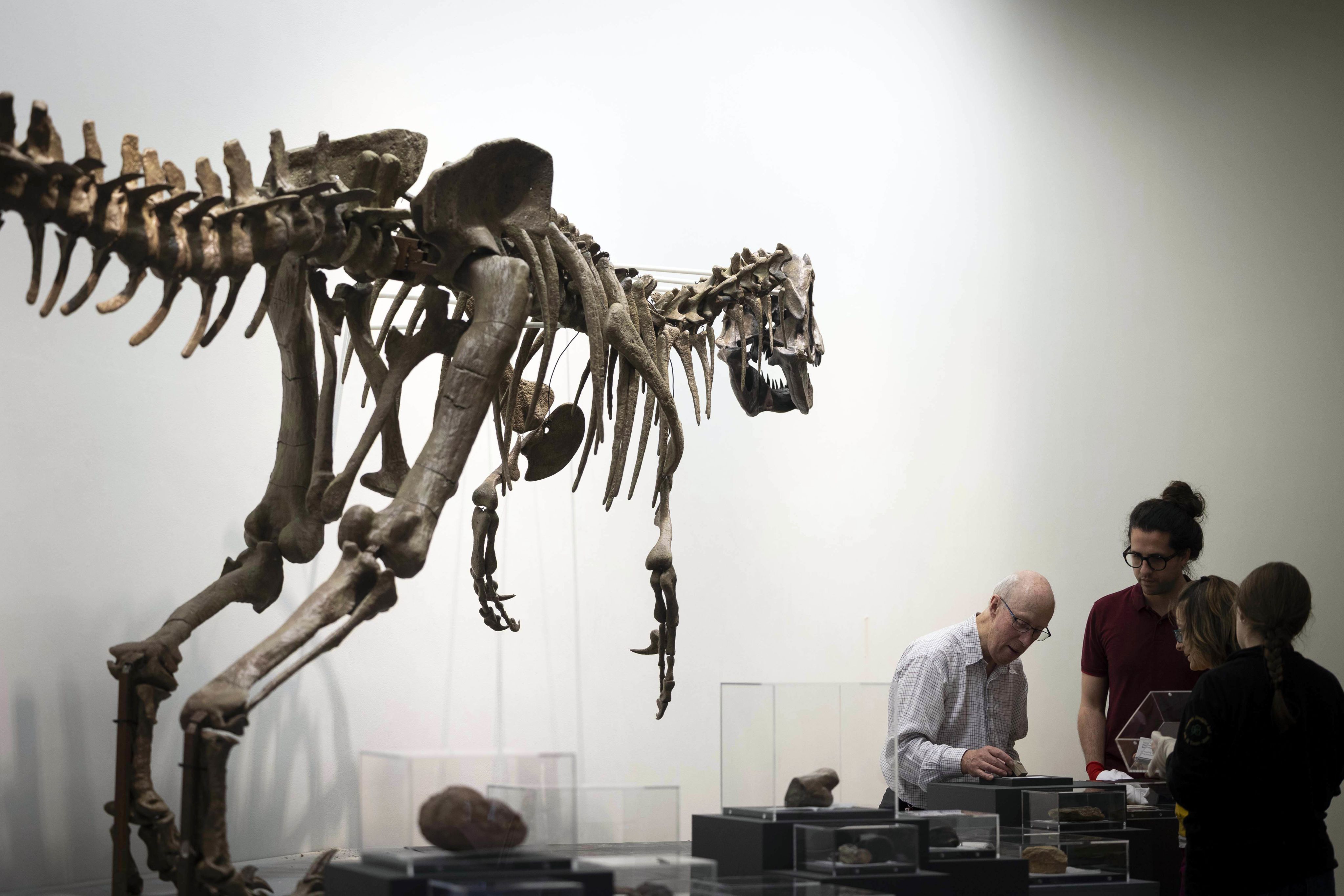 Image of dinosaur in UCC's Glucksman 